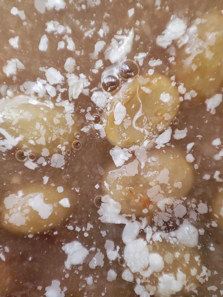 Fermentation process 3.jpg