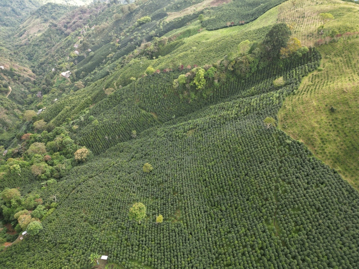  farm 2-2.jpg