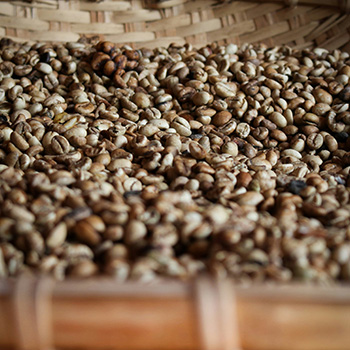 CAFE VERDE KENYA AA SL28 WASHED X60KG GPB 