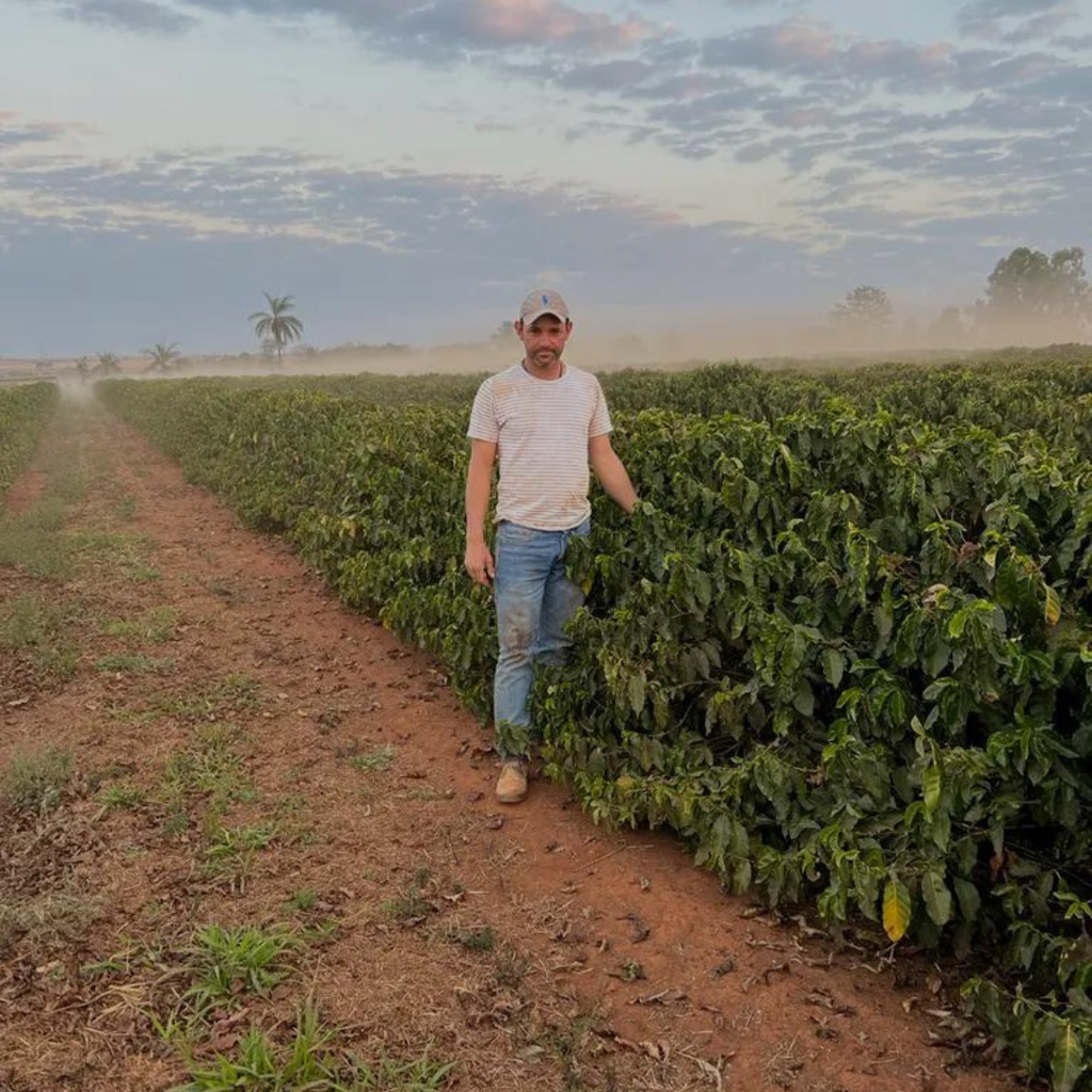 CAFE VERDE BRASIL BAIOKA RENATO MONTEIRO 60KG GPB