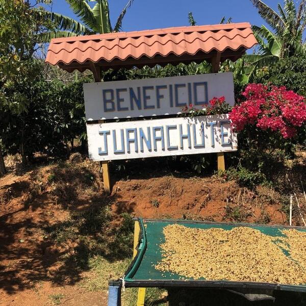 FS/ CAFE VERDE COSTA RICA JANACHUTE NACIENTES CATURRA, CATUAI HONEY X 69KG GPB
