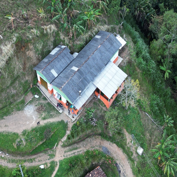 FS / CAFE VERDE COLOMBIA LA SECRETA PINK BOURBON WASHED INFUSED JAMAICA X 35KG GPB