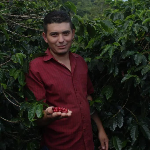 [P004413#1] CAFE VERDE HONDURAS YELTSIN SAGASTUME PARAINEMA HONEY 69KG GPB