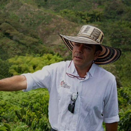 [P004631#2] CAFE VERDE COLOMBIA LA CRISTALINA PINK BOURBON NATURAL X 70KG GPB