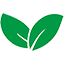 Logo de Frutto Forastero